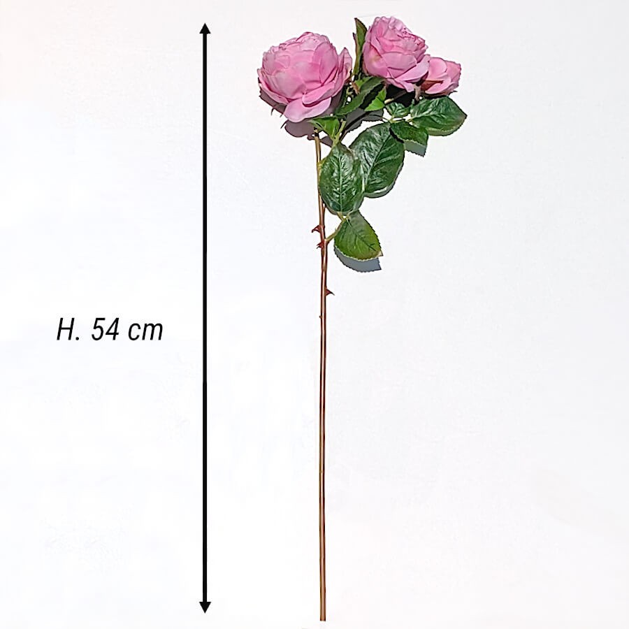 Schéma technique indiquant la hauteur de la tige : 54 cm.