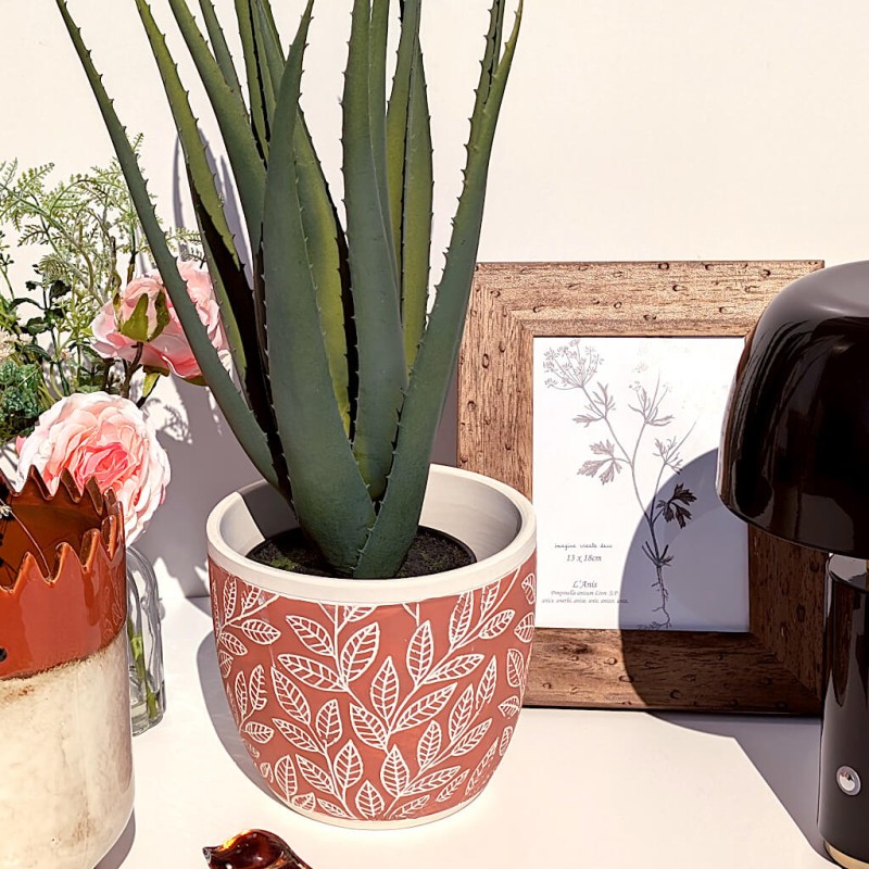 Mise en scène naturelle avec plante grasse, cadre en bois et accessoires déco aux tons terreux.