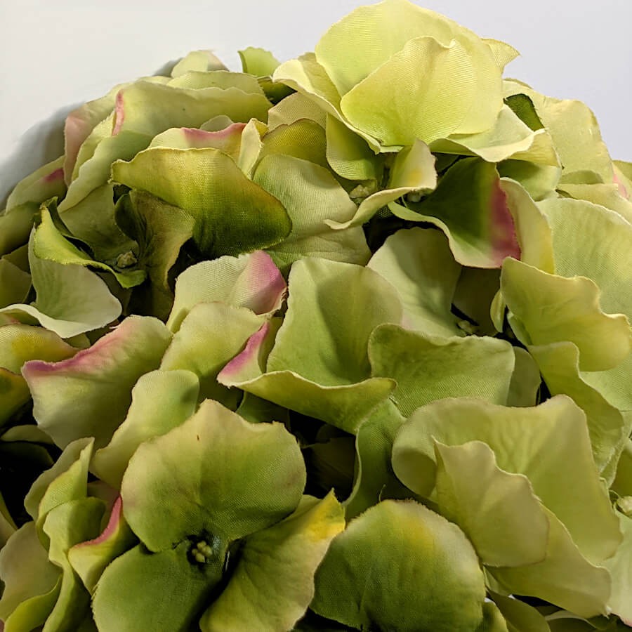 Macro sur le détail des pétales texturés pour souligner l'aspect hyper réaliste.