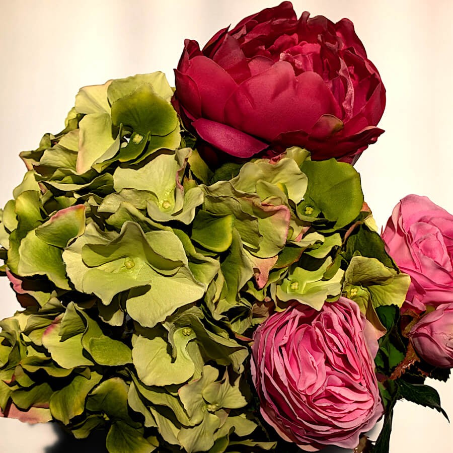 Gros plan sur l'harmonie entre l'hortensia vert et une pivoine rose foncée.