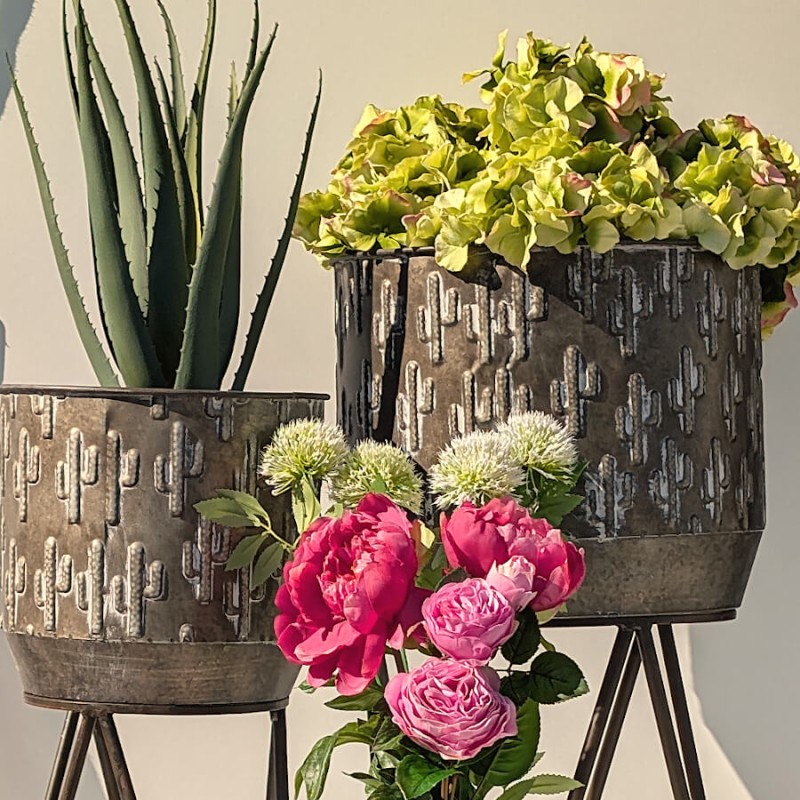 Hortensia vert et pivoines roses en cache-pots cactus : une scène florale dense et réaliste pour un esprit jardin.