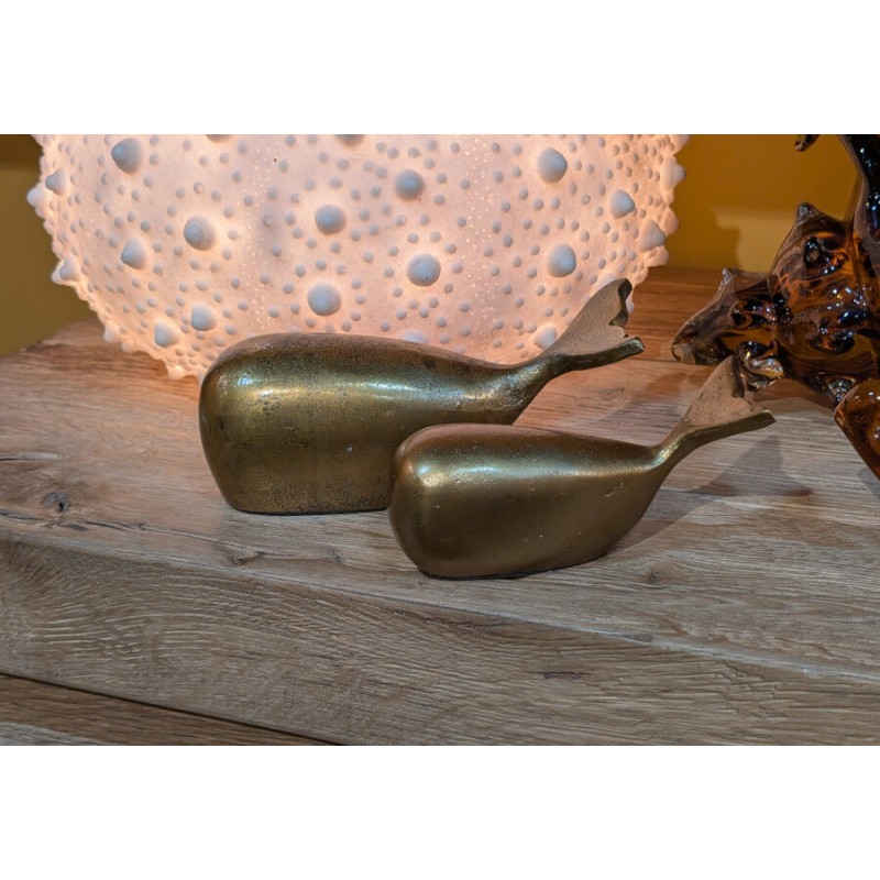 Mise en scène rustique et chaleureuse du duo sur un support en bois brut.