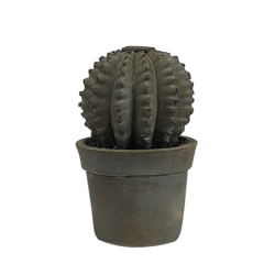Cactus déco résine couleur ciment H16  | Deco-Delight.com