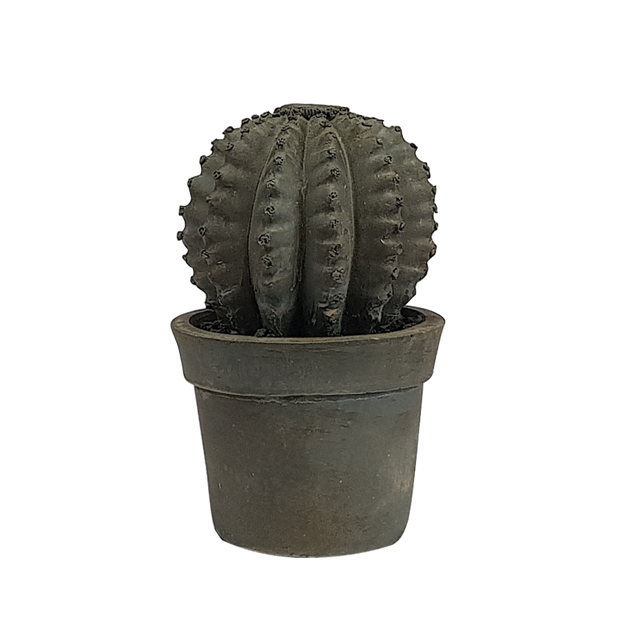 Cactus déco résine couleur ciment H16 | Deco-Delight.com Cactus déco résine couleur ciment H16 | Deco-Delight.com