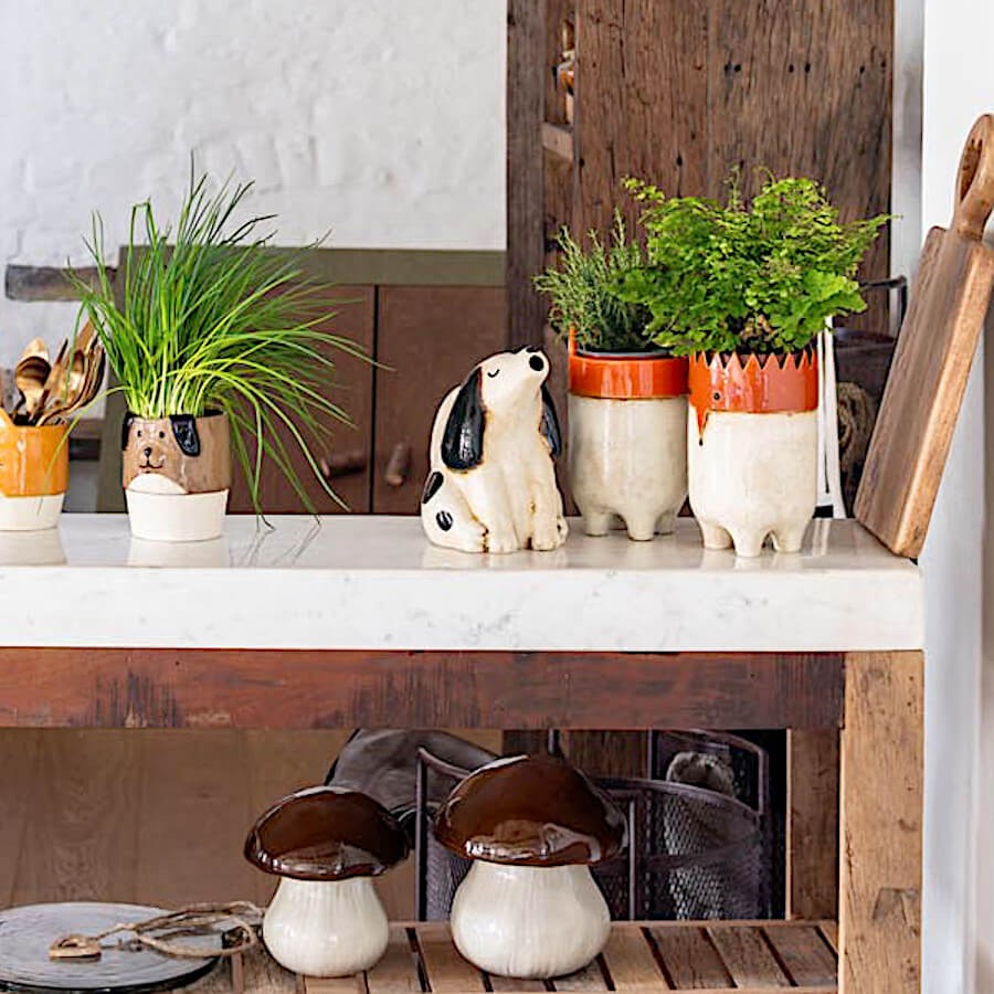 Mise en scène jardin miniature en intérieur, avec plusieurs cache-pots et plantes.