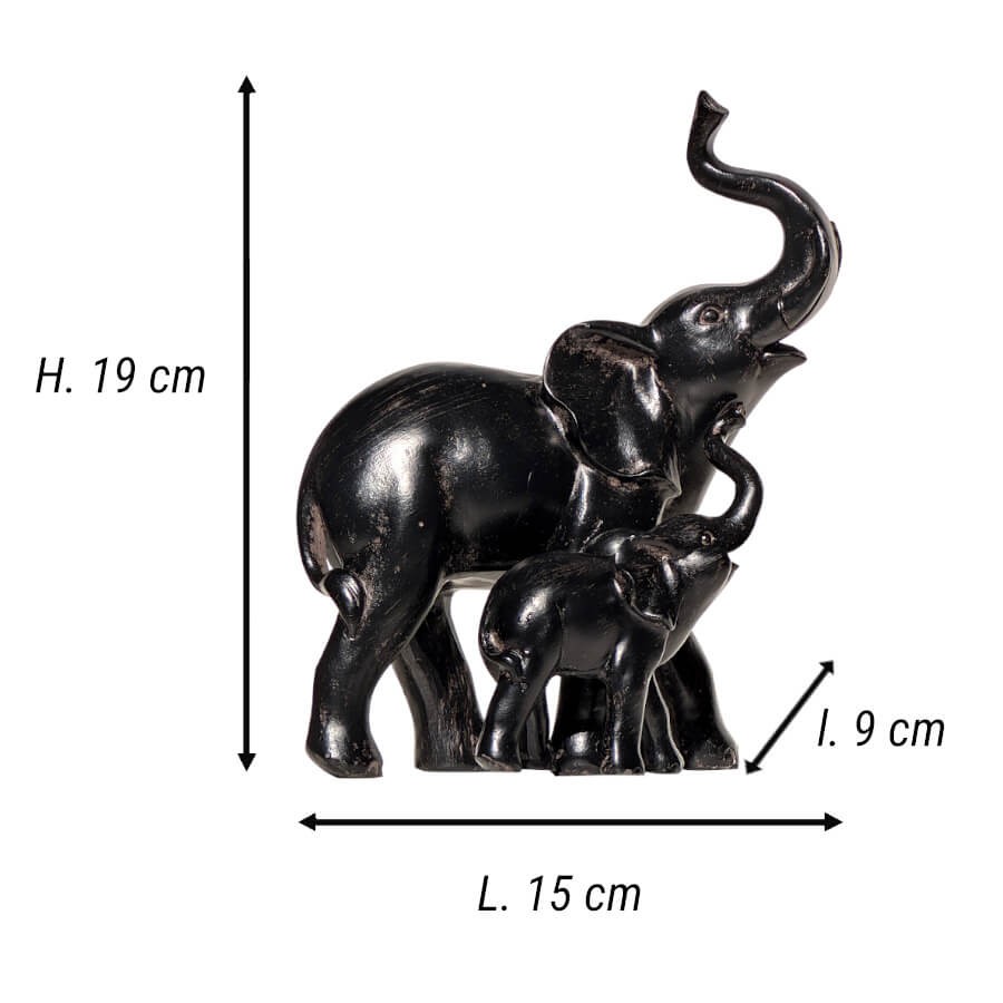 Schéma technique avec dimensions : Hauteur 19 cm, Longueur 15 cm, Largeur 9 cm.