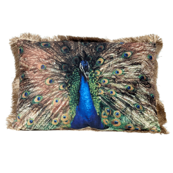 Coussin paon à franges – parade nuptiale de Léon | Deco-Delight.com