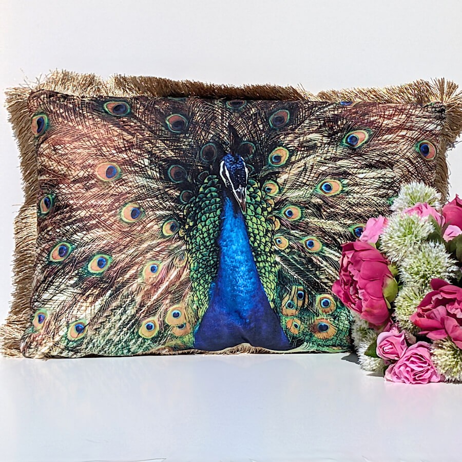 Coussin paon à franges – parade nuptiale de Léon | Deco-Delight.com