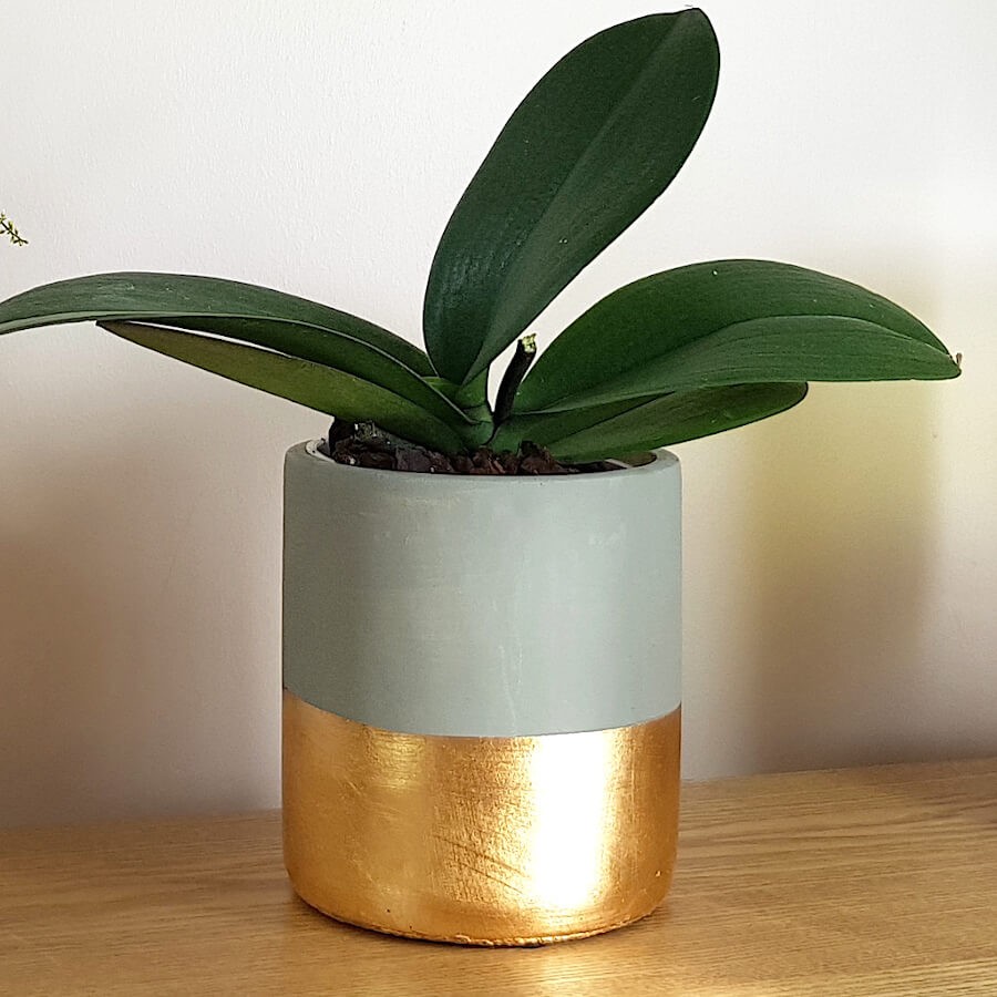 Pot bicolore ciment moderne H14.5 cm | Deco-Delight.com