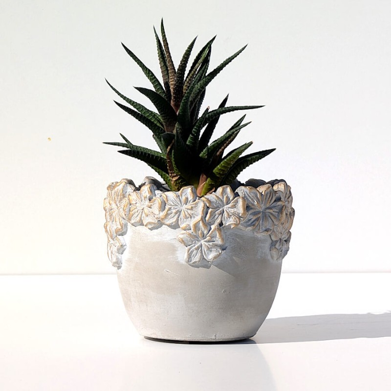 Ambiance champêtre : Petit cache-pot en ciment et fleurs dorées en relief avec plante grasse succulente.