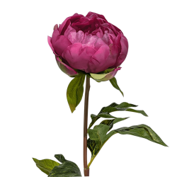 Image de couverture : Tige de pivoine artificielle rose fuchsia au cœur réaliste H56 cm.