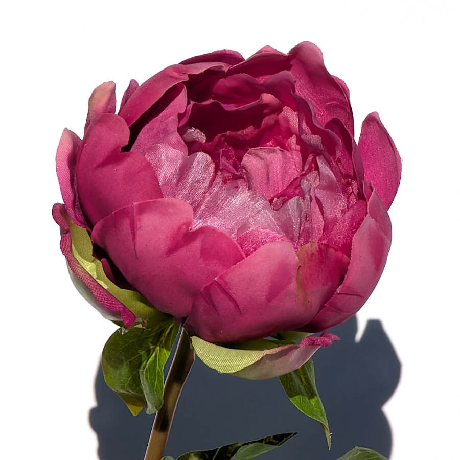 Zoom fleur : Pétales denses et réalistes d'une pivoine fuchsia artificielle épanouie.