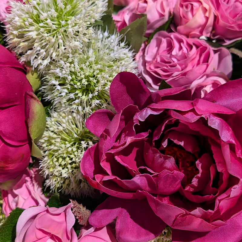 Détail inflorescence : Texture soyeuse des boutons de pivoines fuchsia et allium negrium blanches.