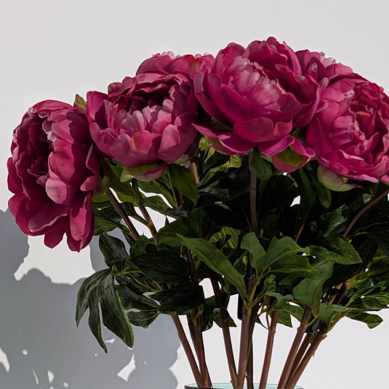 Vue de face : Bouquet dense de pivoines fuchsia synthétiques sur fond blanc.