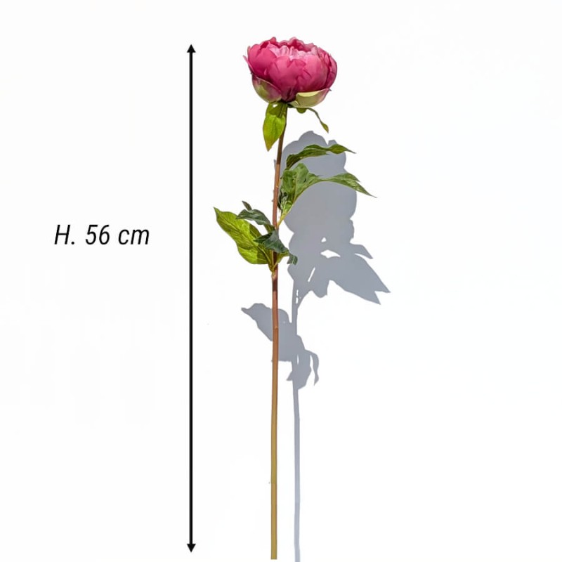Fiche technique : Schéma des dimensions de la tige de pivoine artificielle : hauteur 56 cm.