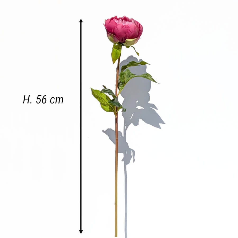 Fiche technique : Schéma des dimensions de la tige de pivoine artificielle : hauteur 56 cm.