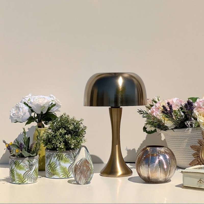 Composition moderne laiton : Petit pot végétal au premier plan devant une lampe champignon dorée.