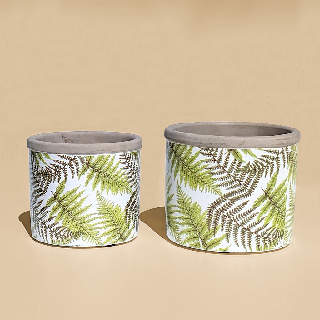 Vue de face duo : Présentation côte à côte des deux tailles de pots fougères sur fond beige.