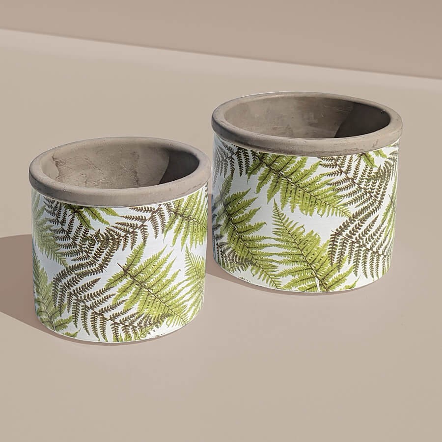 Duo de pots : Les deux tailles de pots en ciment fougère présentées côte à côte au soleil.