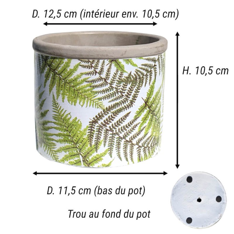 Fiche technique : Schéma avec les dimensions du pot fougère : D 12,5 cm, H 10,5 cm, D base 11,5 cm.