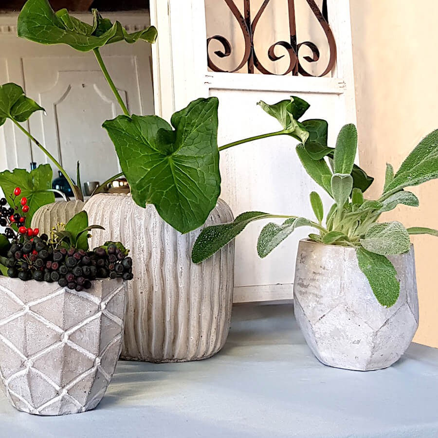 Composition de trois pots en ciment de différents styles (facetté, côtelé, organique) avec des plantes vertes d'extérieur.