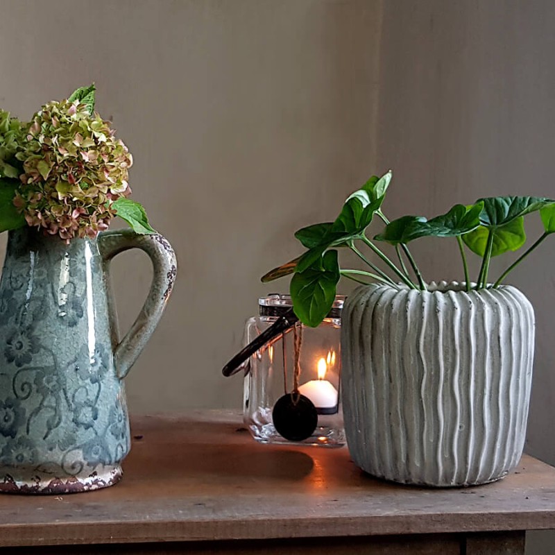 Ambiance sereine avec vase pichet gris floral, tige d'hortensia et le pot en ciment végétalisé sur un meuble en bois.