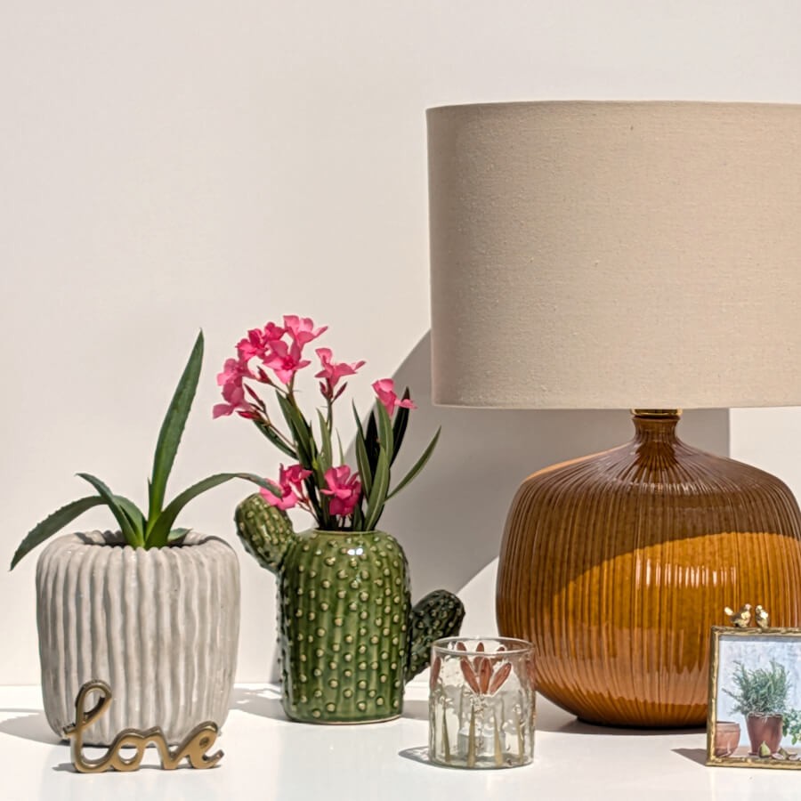 Ambiance lumineuse d'intérieur avec une lampe en céramique ocre, un cactus vert et le pot côtelé garni d'une petite plante.