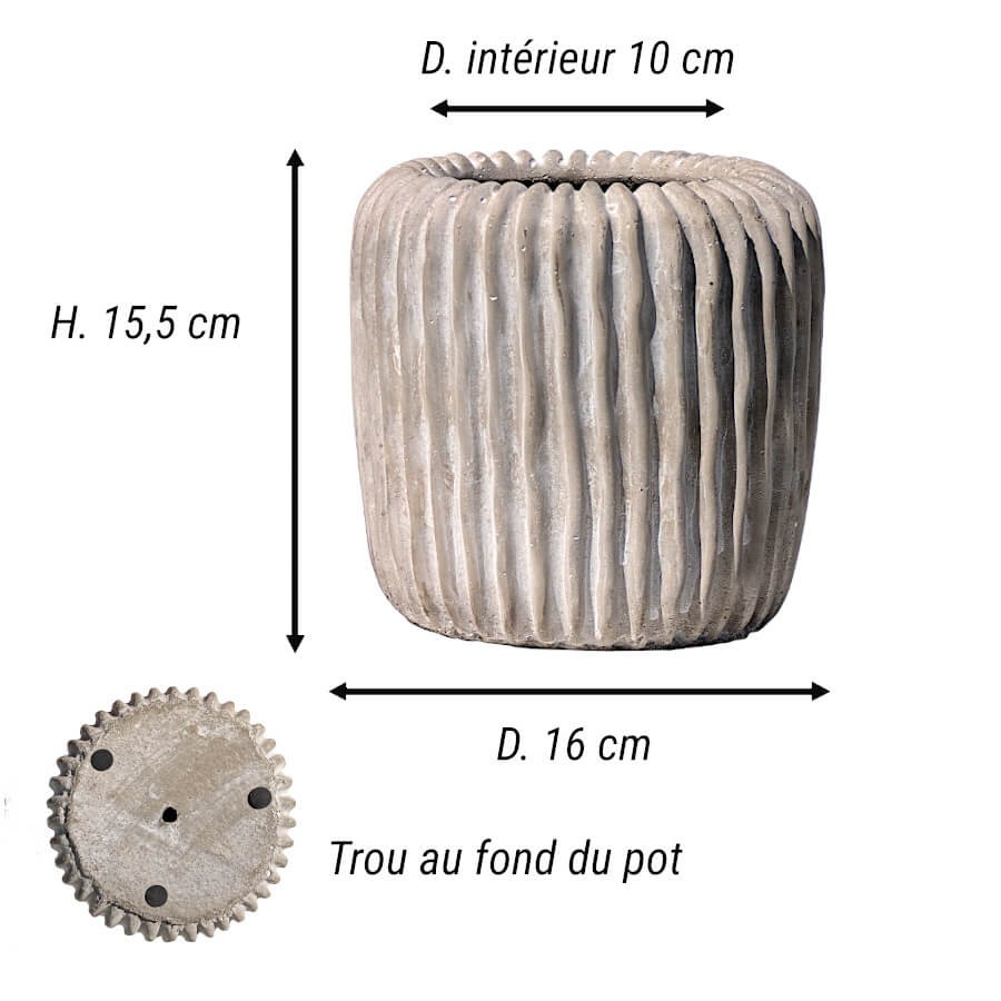 Schéma technique indiquant les dimensions précises : Hauteur 15,5 cm, Diamètre extérieur 16 cm, Diamètre intérieur 10 cm.