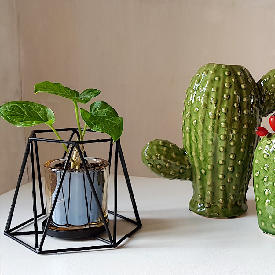 Utilisation détournée originale du photophore filaire comme support pour une petite plante verte.