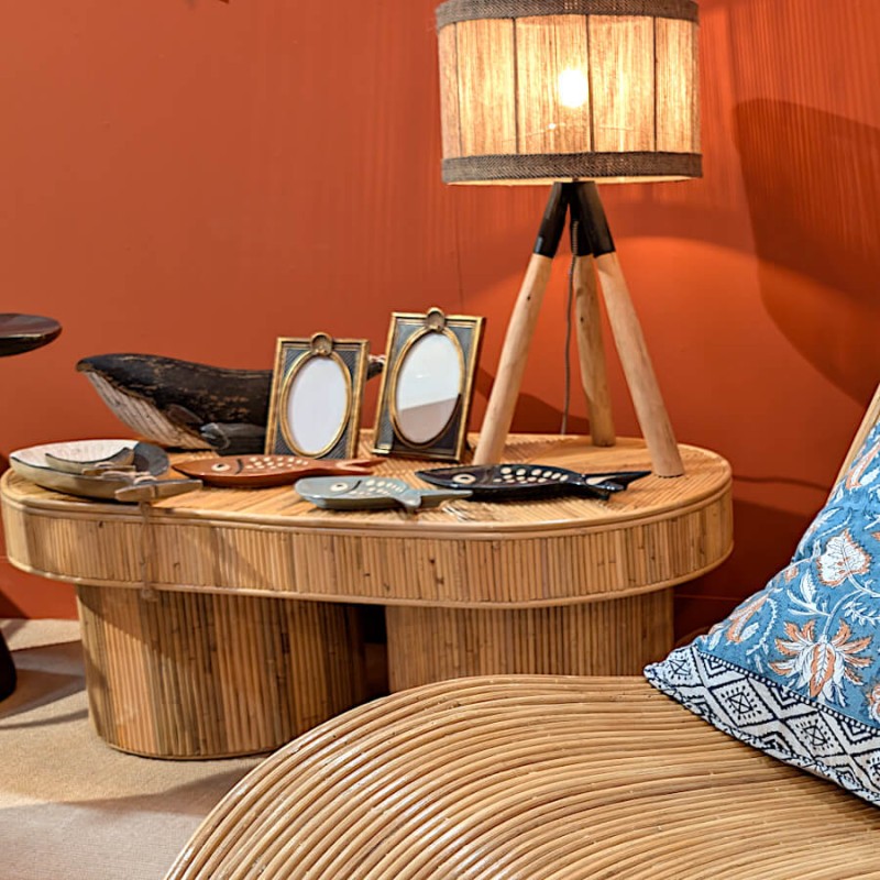 Plat poisson intégré dans une ambiance salon avec lampe en bois et coussins.