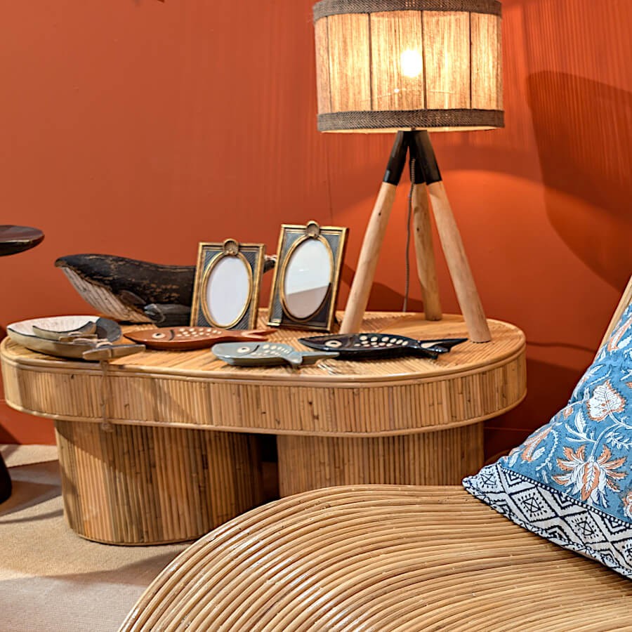 Plat poisson intégré dans une ambiance salon avec lampe en bois et coussins.