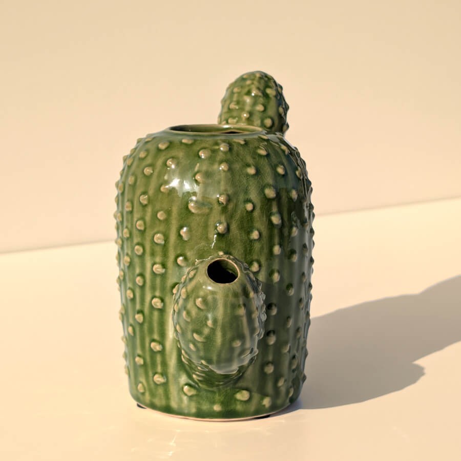 Vue latérale mettant en valeur la forme et les bras du cactus.