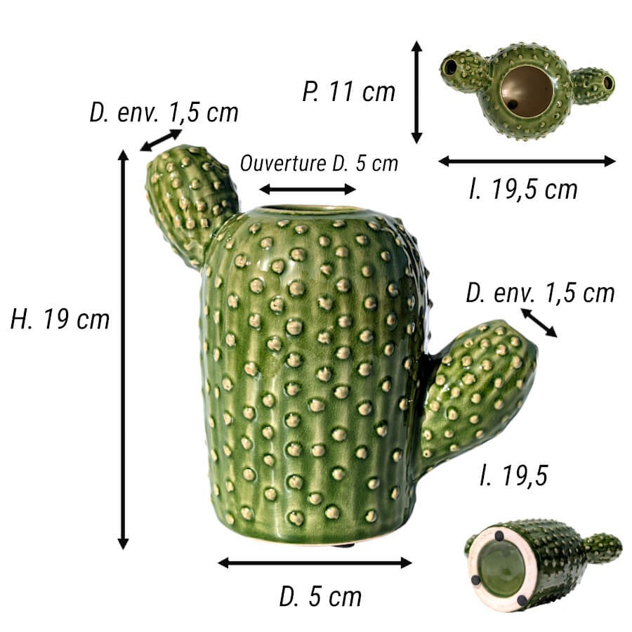 Schéma des dimensions détaillées du vase cactus (H 18 cm, L 19.5 cm).