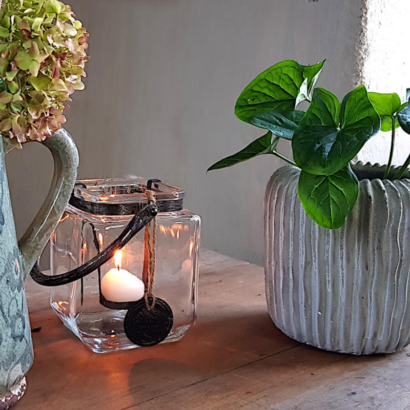 Photophore carré allumé apportant une lumière douce près d'une plante dans le pot en ciment côtelé Deco-Delight.