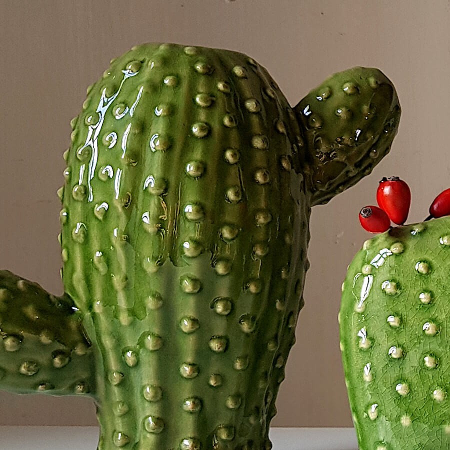 Zoom sur les détails sculptés et la finition brillante de deux vases cactus à fleurs rouges.