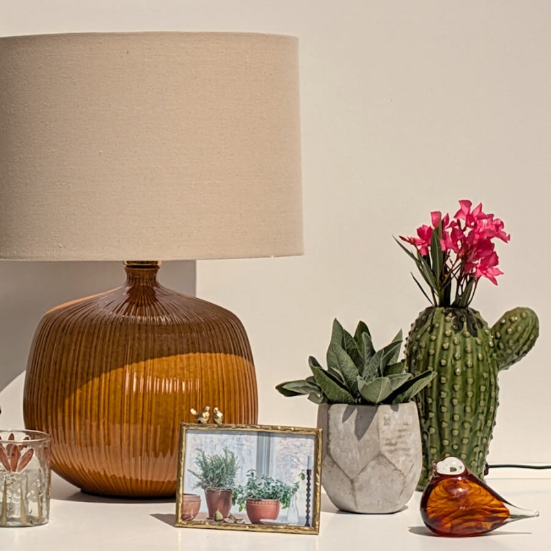 Composition déco avec vase cactus fleuri, lampe à poser en grès ocre et cadre photo.
