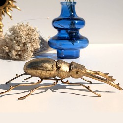 Scarabée en résine dorée L20.5  | Deco-Delight.com
