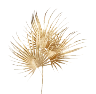 Fleurs et plantes artificielles ou séchées
