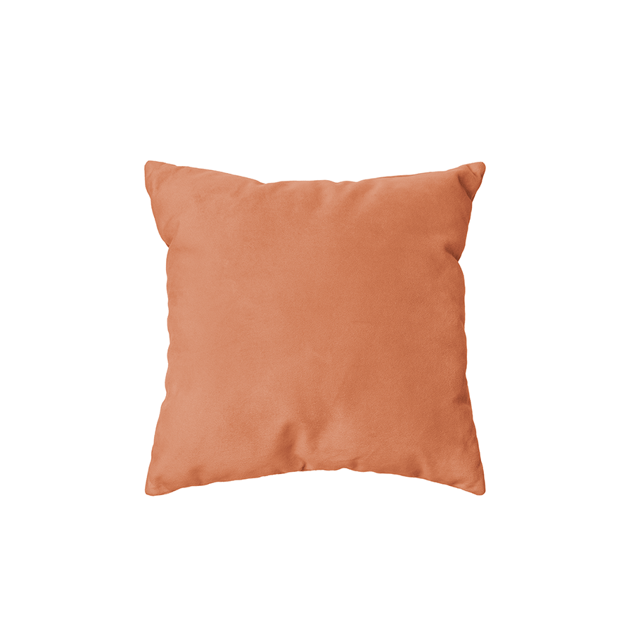 Coussins et Housses de coussin