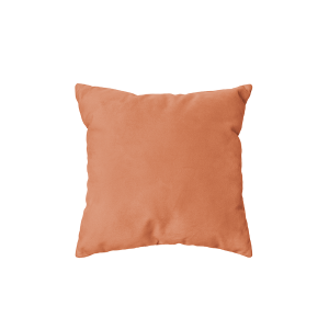 Coussins et Housses de coussin