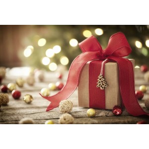 50 Idées Cadeaux de Noël