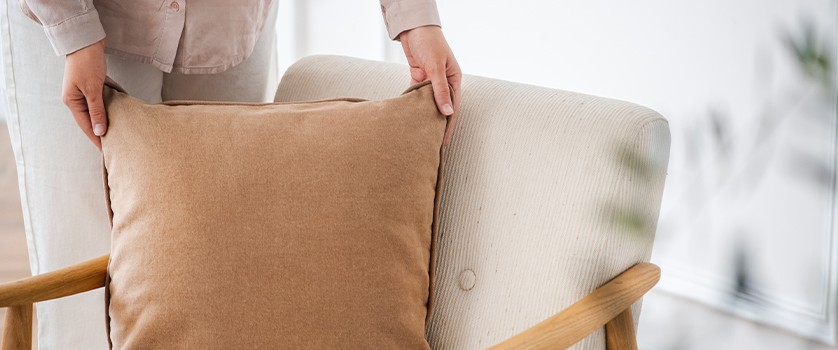 Coussins et Housses de coussin